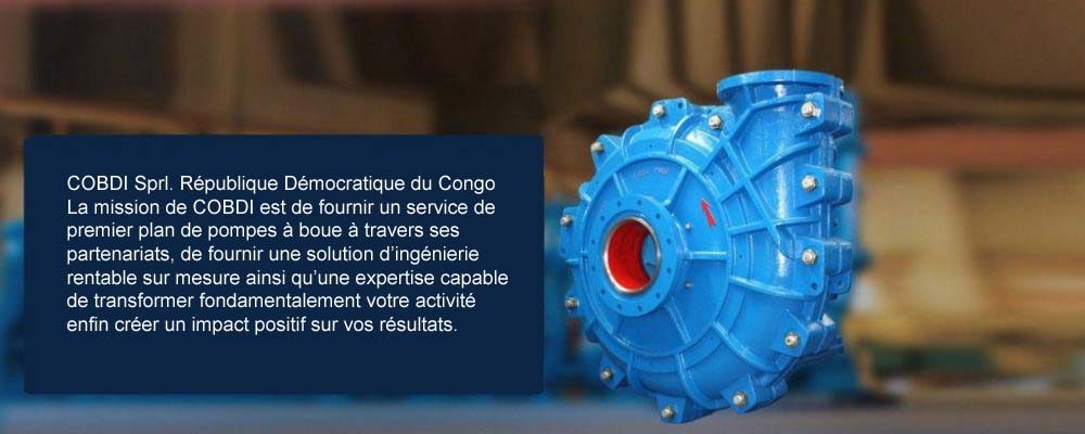 french home banner copy