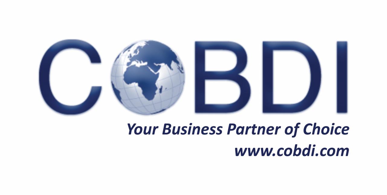 Cobdi Management Consulting